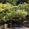今日は何もしていません。ゴールデンウィーク最終日。
