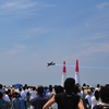 Red Bull Air Race を観に行ってみた！