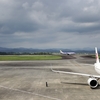 茶畑のなかの空港