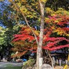 神社の掃除