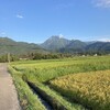 2か月半ぶりのラン