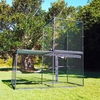 Inside Or Outside Cats? Safe Outdoor Feline Play Enclosures