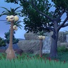 ポケモンについて語るその123　ナッシー（アローラのすがた）