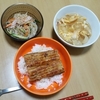 うな丼、新玉ねぎの玉子とじ