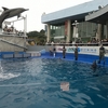 大分マリーンパレス水族館 うみたまご （大分県大分市）