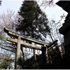 式内大社・天照大神高座神社写真館（６/１４）