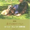 朝ドラ「まれ」に柴犬が出てた！