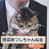 猫付き選挙ポスター