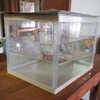超薄い海水ゲット
