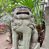 神社時々お寺、そして気功