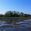 水のはられた田圃