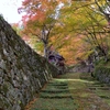 湖東三山：百済寺，唐破風のある本堂と黄葉と。