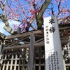 京都の春を飾る梅の花・おすすめベスト５