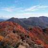 くじゅうの紅葉  三俣山