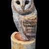 カービングショウ作品　その１　メンフクロウ