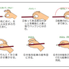 ペンや鉛筆の持ち方を説明しているサイトなどのまとめと自分の考え