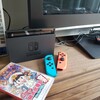 メルカリの副業で相方がSwitch&桃鉄をゲット！怠惰なビアンカップルの休日