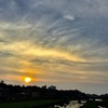梅雨が明けたので