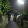 闇夜の散歩