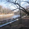 井の頭公園_かいぼり（東京都三鷹市）