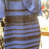 青と黒？　白と金？　ネット上で大論争を呼んだドレスの色