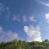 世界遺産の島で考えたこと