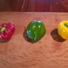パプリカの色付き実験結果と更なる謎