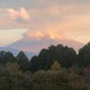 今朝の景色