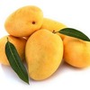 High Demand of Mexican Mango Distributors in America