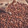 コーヒーの知られざる世界：歴史的雑学と味わいの情景提案