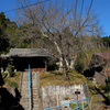 関屋庚申堂　猿爪　中馬街道