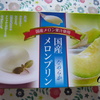 片山食品 国産なめらかメロンプリン
