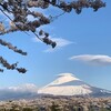 クランクの釣りを堪能、桜満開の東山湖さん