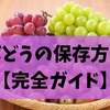 ぶどうの保存方法【完全ガイド】冷蔵・冷凍・干しぶどうまで長持ちテクを徹底解説