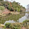 鯉沢の池（京都府京都）