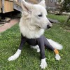公園でのひととき