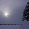 ついに念願の…雪国上陸！ペンギンパレード！