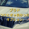 2年乗って分かった。ランドクルーザープラドのつけときゃよかったオプション。