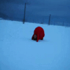 今年雪積もってない！