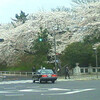 中村京蔵「雪振袖山姥‐むつのはなふりそでやまんば‐」(国立劇場)