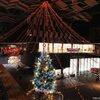【Aollumination2021-2022】アオーレ長岡の音楽コラボのクリスマスイルミネーションが魔法がかっていた