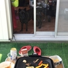 甲斐犬サンの夏休みの巻〜(*∩∀∩*)ﾜｸﾜｸ♪