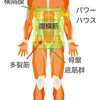 偽物が多い世の中に本物を。