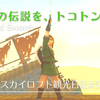 【ZELDA】やめどきが最大の謎！【スカイウォードソード】