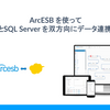 ArcESB を使ってkintone とSQL Server を双方向にデータ連携する方法