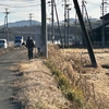 今日は本当に今年最後の草刈り！