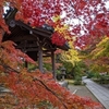 京都旅行記①嵐山（天龍寺、常寂光寺、二尊院）