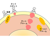 【地学基礎】〈固体地球⑤〉プルーム・プルームテクトニクスについて