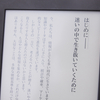 電子書籍はスマホじゃダメ!Kindleをおすすめする3つのワケ