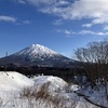 羊蹄山を望むニセコに　Winterスポーツ客到来　